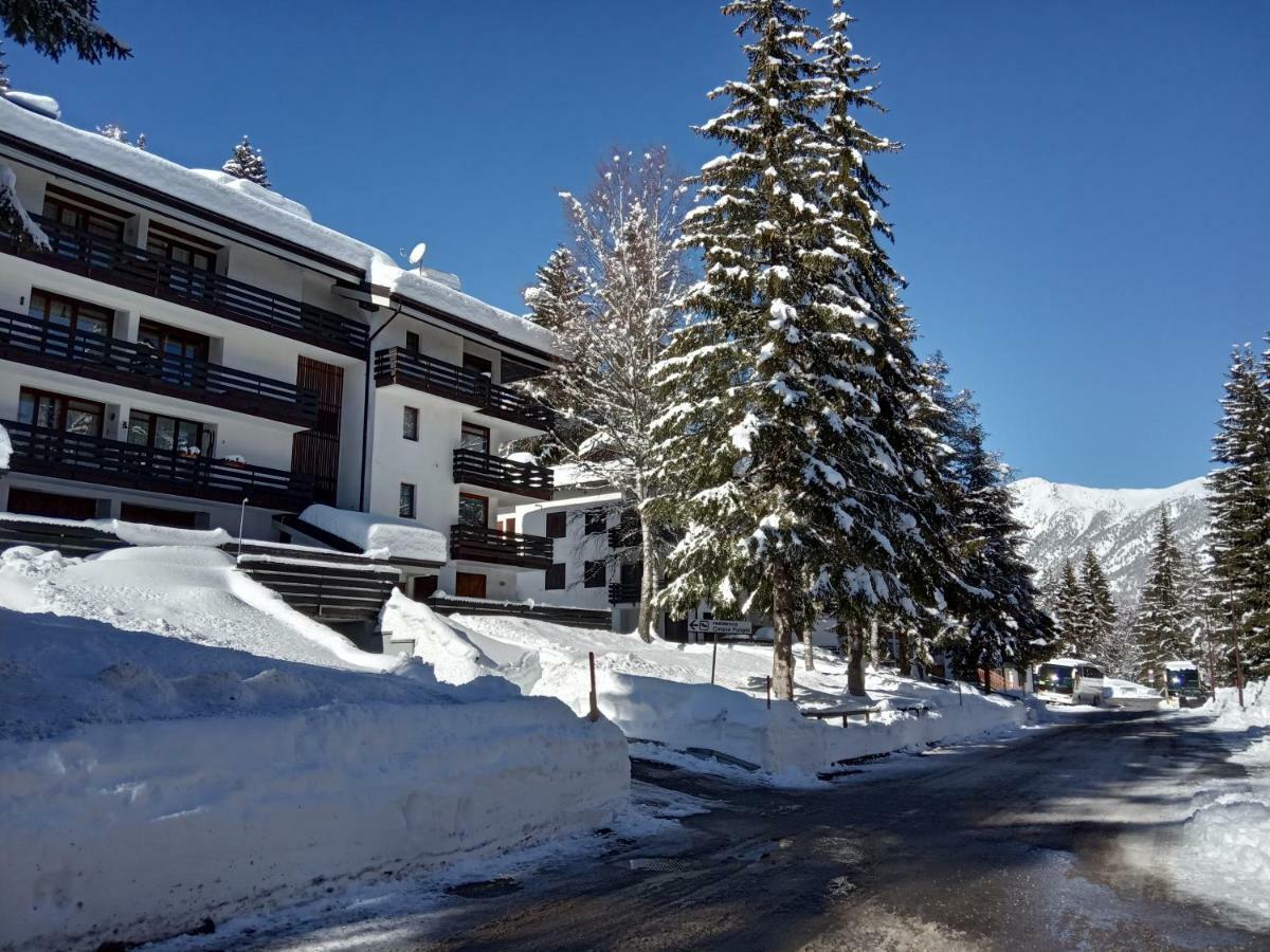 Apartmán Casa Cinque Funghi A Folgarida Exteriér fotografie