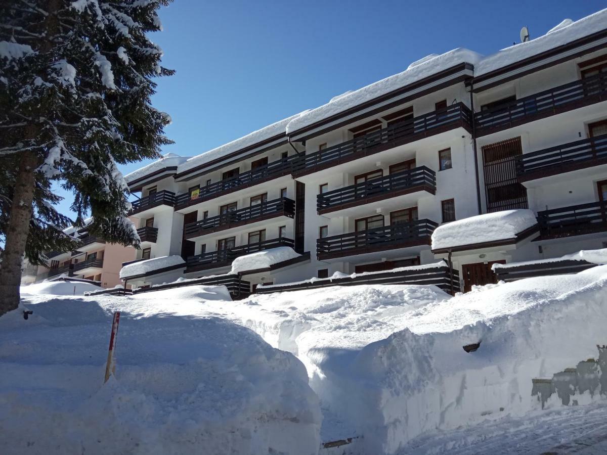 Apartmán Casa Cinque Funghi A Folgarida Exteriér fotografie